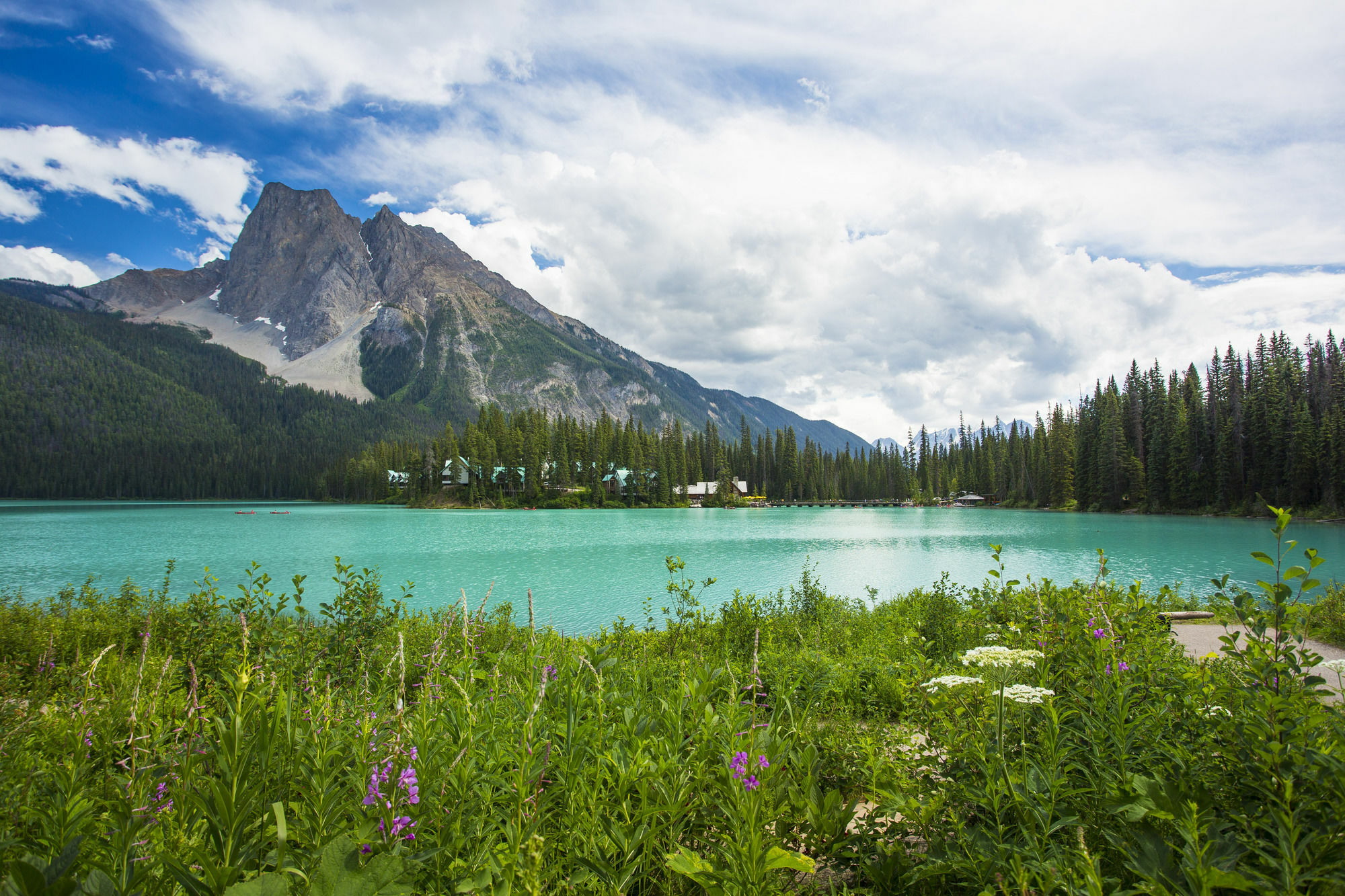 Emerald Lake Lodge Field Exterior foto